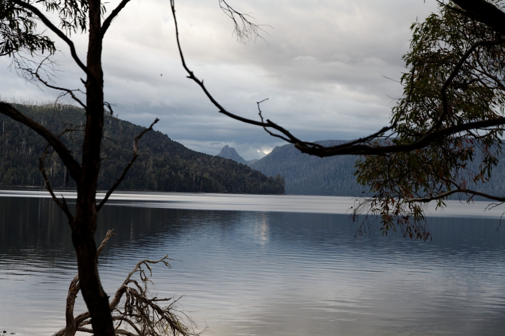 19 - Lake St Clair NP (23).jpg